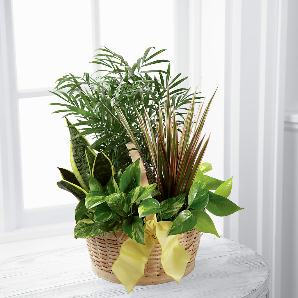 French Garden – Flower Shop Of Farmingdale, Farmingdale NY
