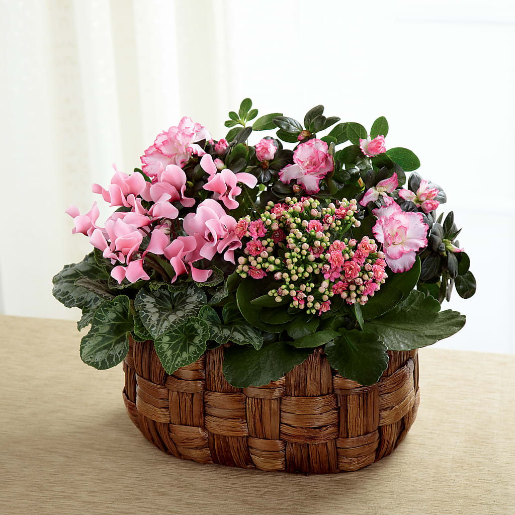Pink Assortment – Flower Shop Of Farmingdale, Farmingdale NY