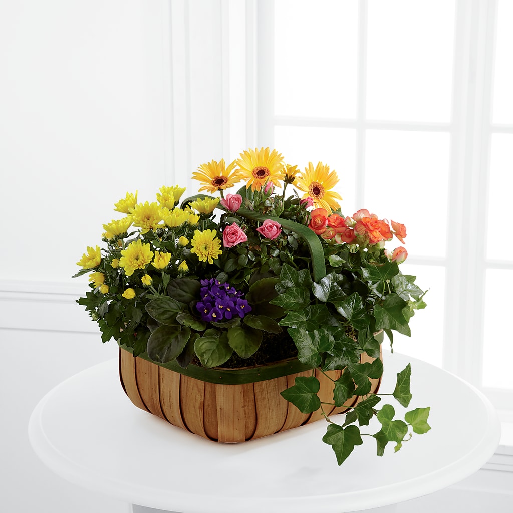 Gentle Blossoms Basket – Flower Shop Of Farmingdale, Farmingdale NY