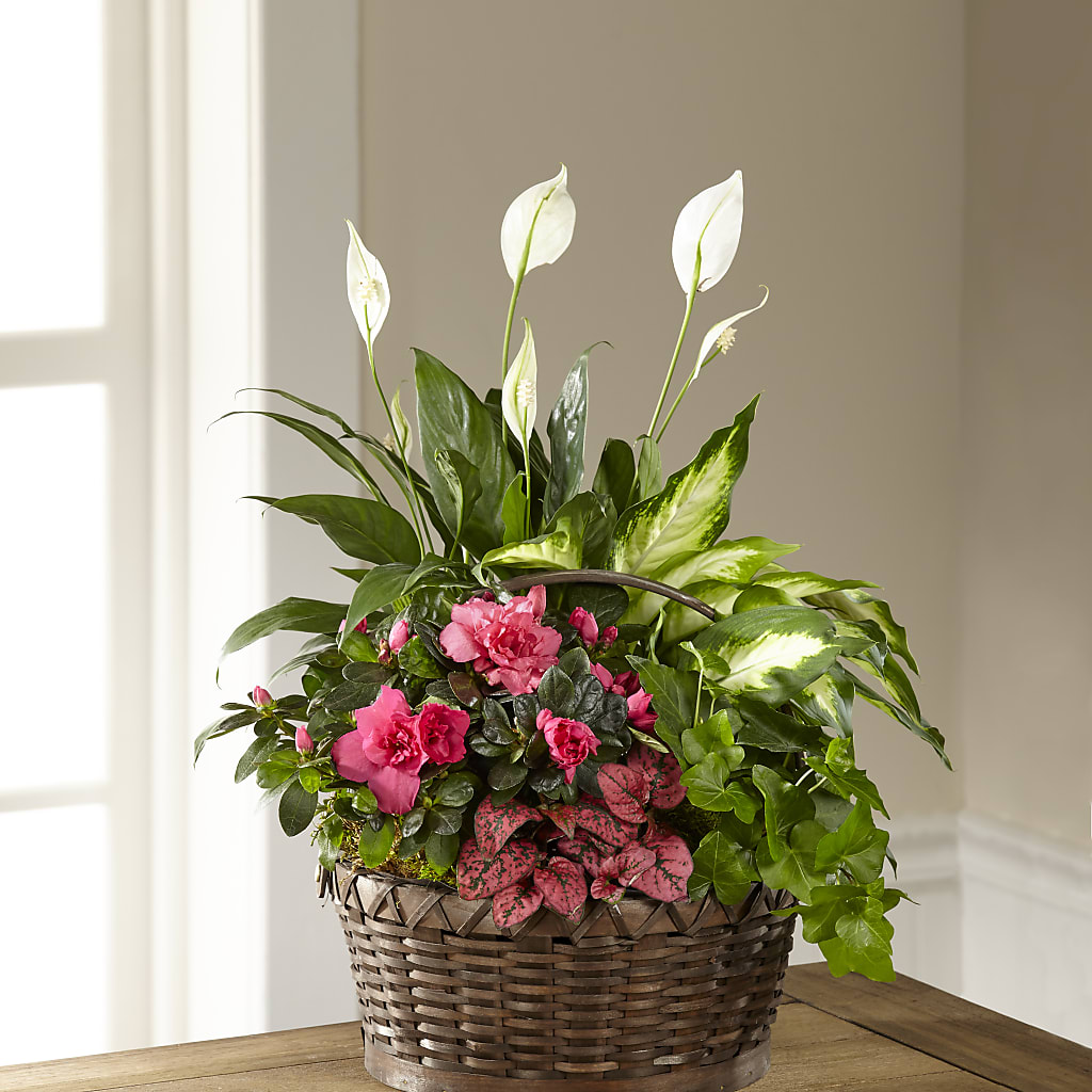 Dream in Pink Dishgarden – Flower Shop Of Farmingdale, Farmingdale NY