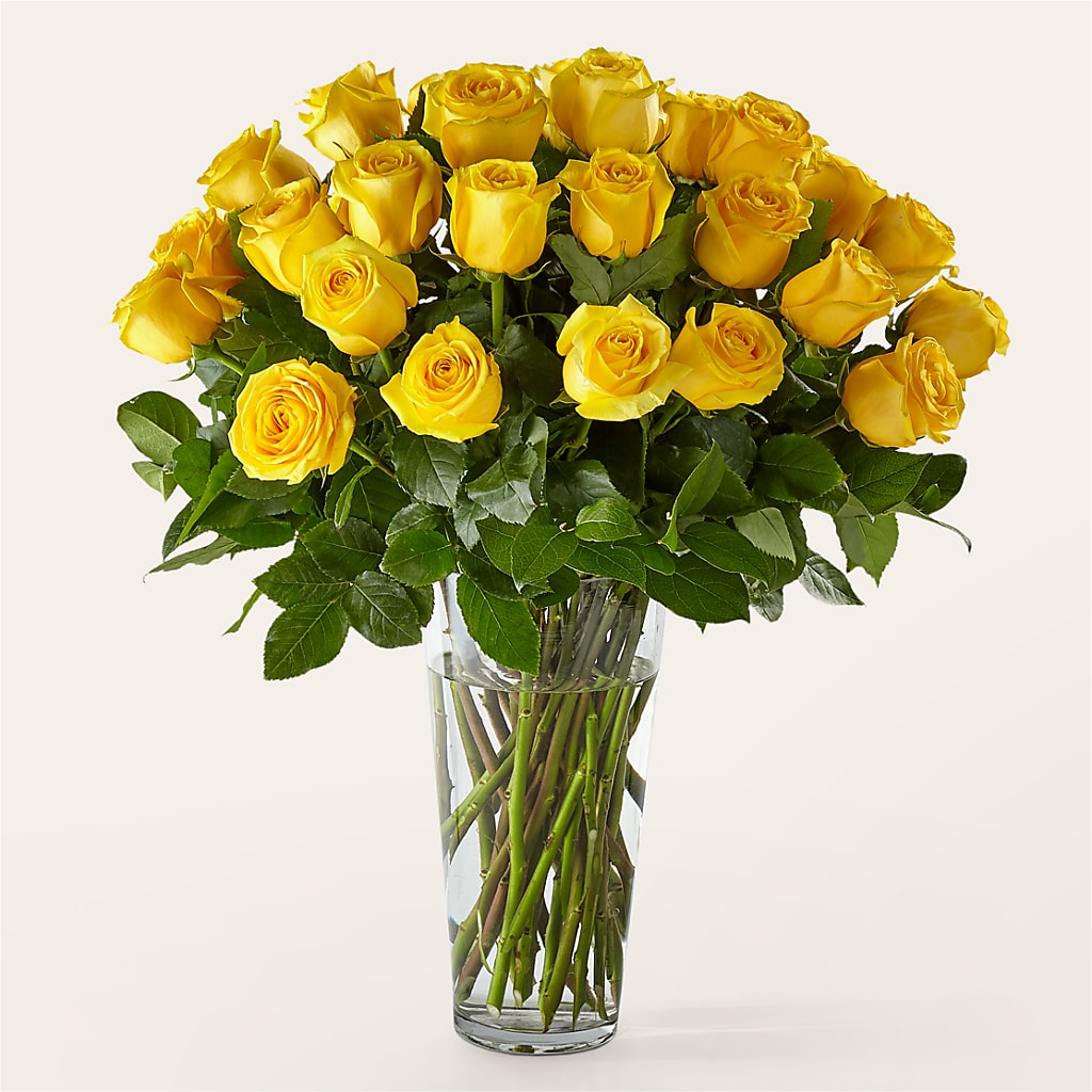 Long Stem Yellow Rose Bouquet – Flower Shop Of Farmingdale, Farmingdale NY