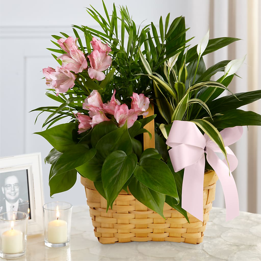 Living Spirit Dishgarden – Flower Shop Of Farmingdale, Farmingdale NY