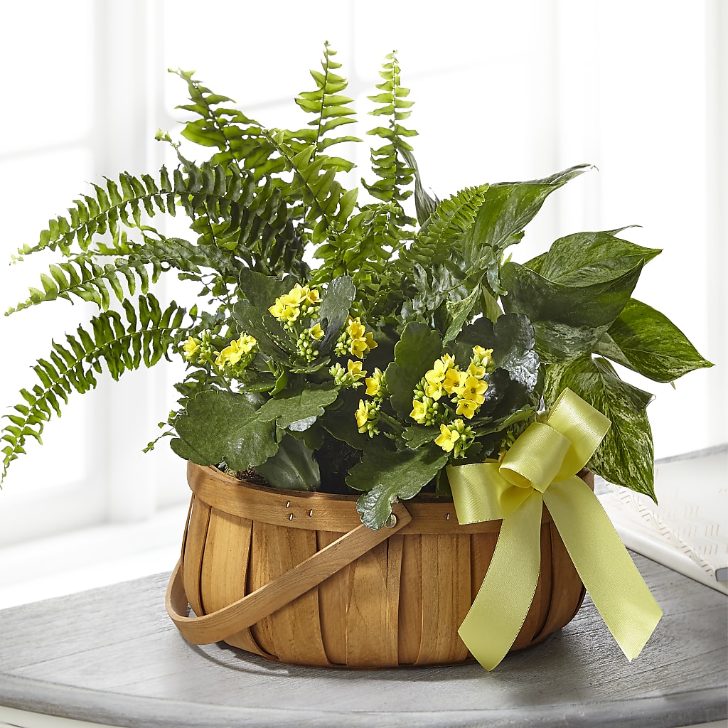 Always Dear Dishgarden – Flower Shop Of Farmingdale, Farmingdale NY