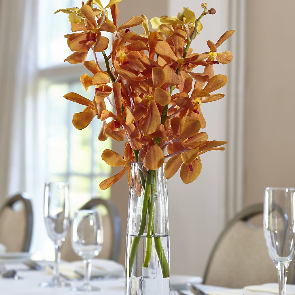 Orange Mokara Bud Vase – Flower Shop Of Farmingdale, Farmingdale NY