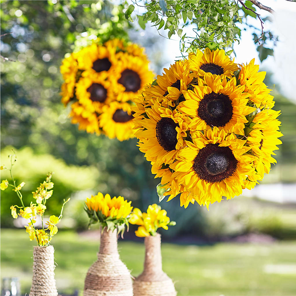 Sublime Garden Hanging Arrangement – Flower Shop Of Farmingdale, Farmingdale NY