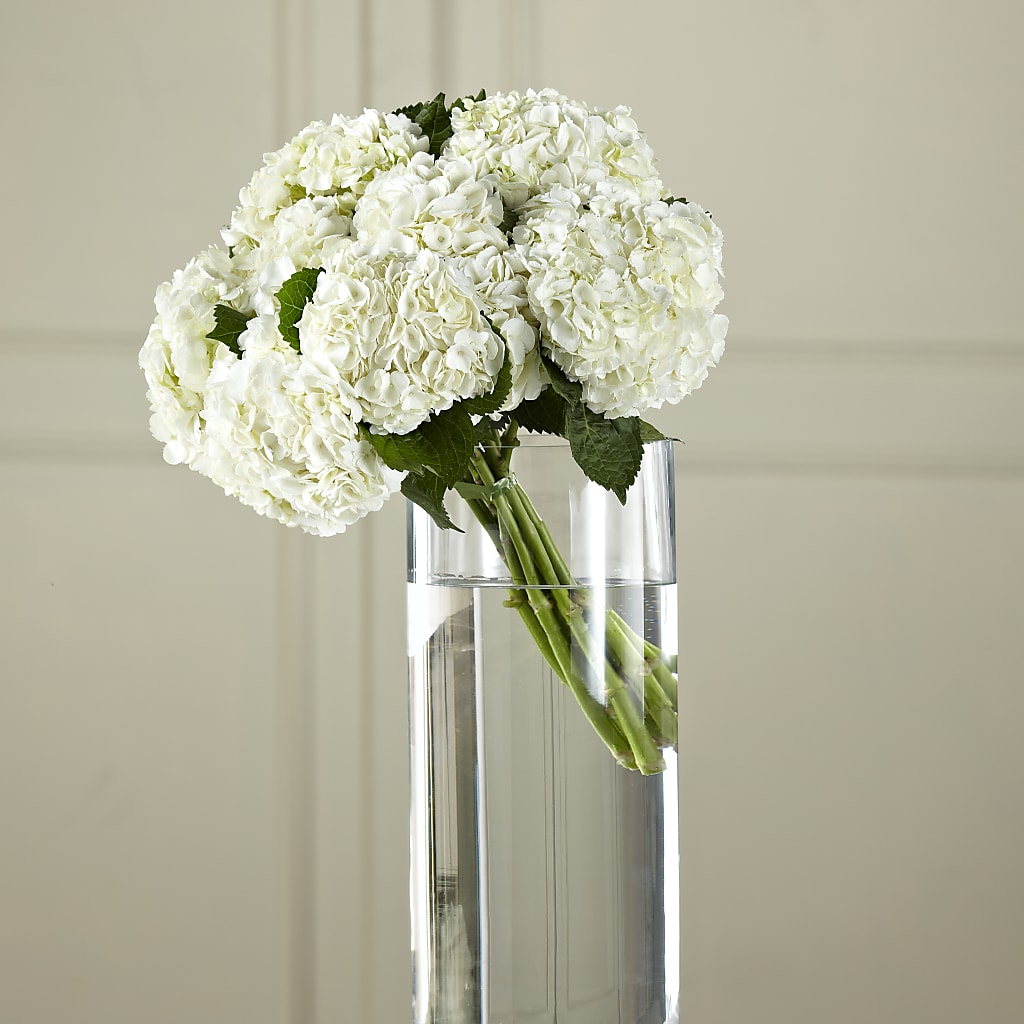 White Hydrangea Hand-Tied Bouquet – Flower Shop Of Farmingdale, Farmingdale NY