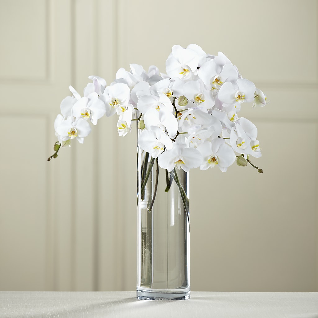 White Phalaenopsis Bouquet – Flower Shop Of Farmingdale, Farmingdale NY