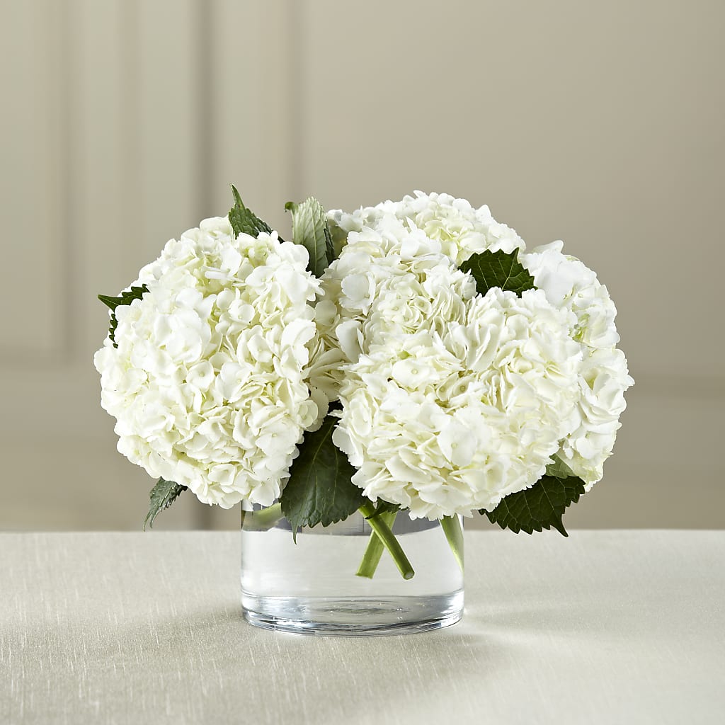 White Hydrangea Bouquet – Flower Shop Of Farmingdale, Farmingdale NY