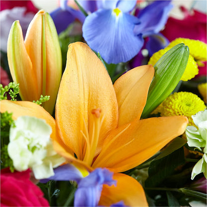 Bold & Bright – A Florist Original –  Flower Shop Of Farmingdale, Farmingdale NY
