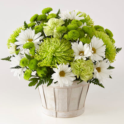 Lucky Charm Basket (Standard) –  Flower Shop Of Farmingdale, Farmingdale NY