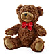 Adorable Plush Bear –  Flower Shop Of Farmingdale, Farmingdale NY