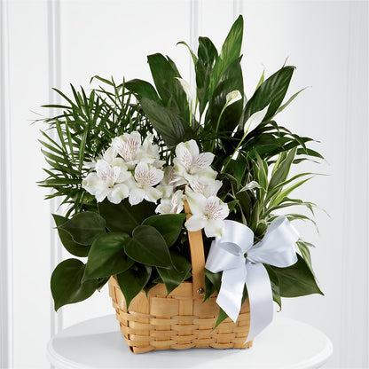Peace & Serenity Dishgarden –  Flower Shop Of Farmingdale, Farmingdale NY