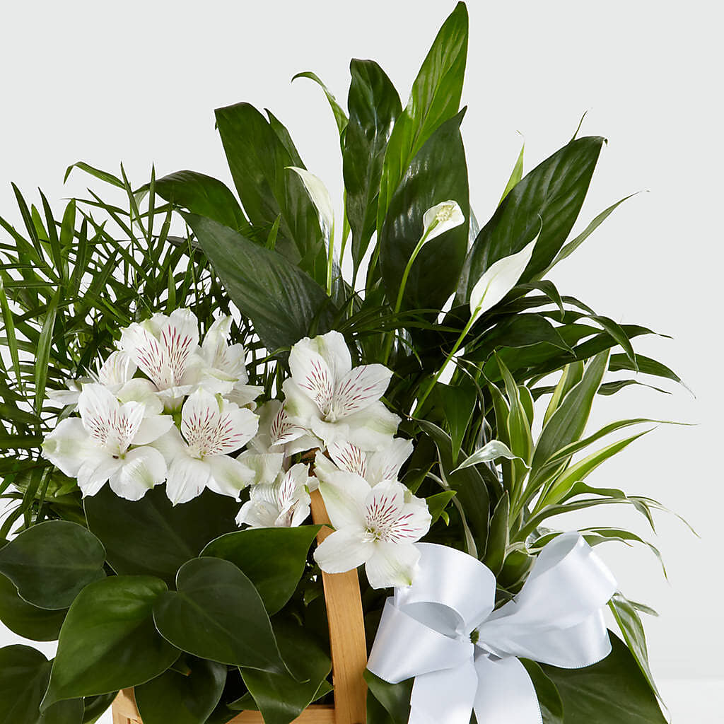 Peace & Serenity Dishgarden –  Flower Shop Of Farmingdale, Farmingdale NY