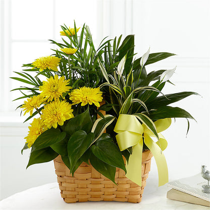Loving Light Dishgarden –  Flower Shop Of Farmingdale, Farmingdale NY