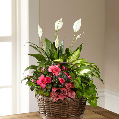 Dream in Pink Dishgarden –  Flower Shop Of Farmingdale, Farmingdale NY