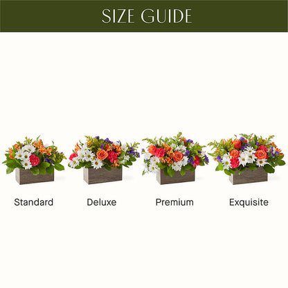 Oopsie Daisy Box Bouquet –  Flower Shop Of Farmingdale, Farmingdale NY