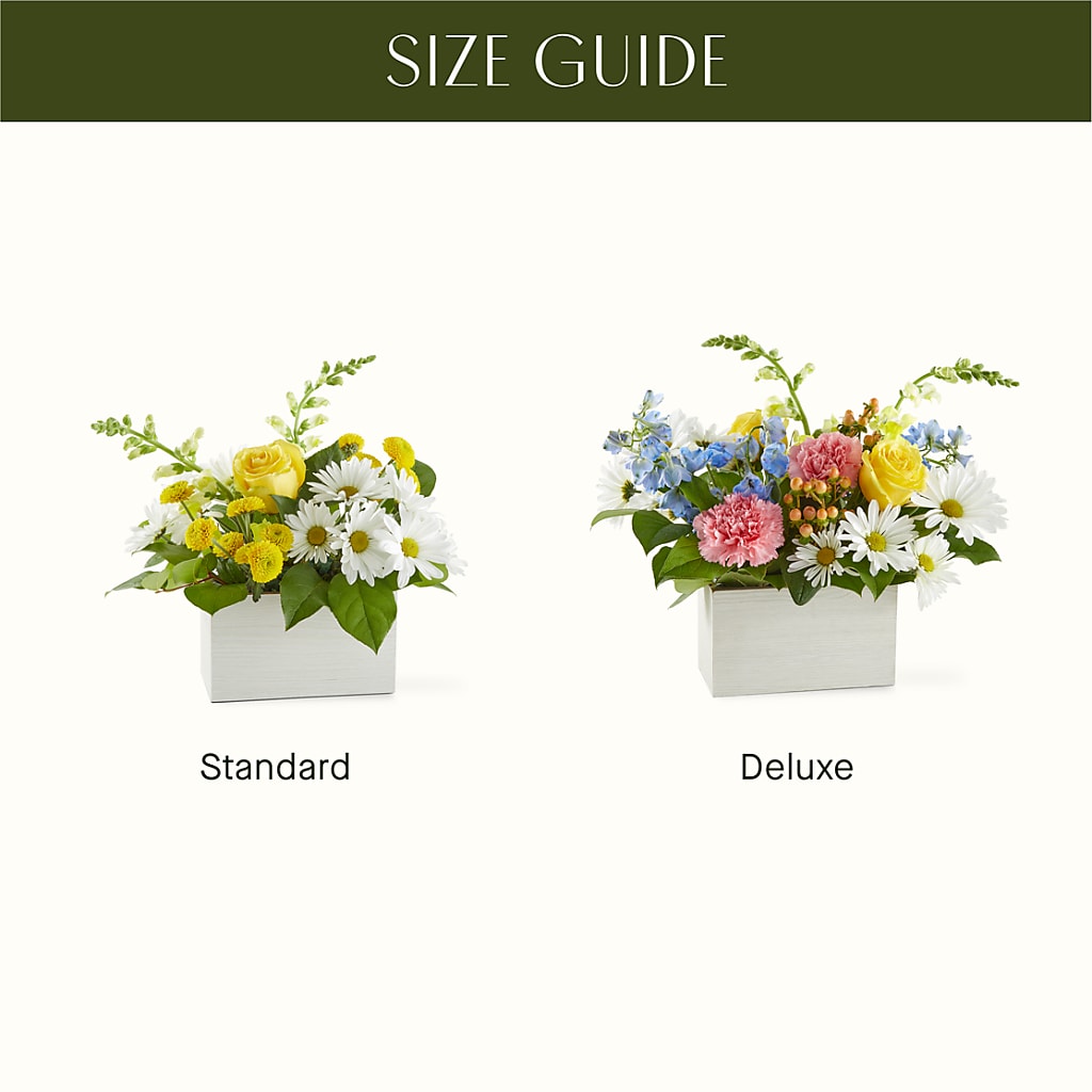 Sun Salutation Box Bouquet –  Flower Shop Of Farmingdale, Farmingdale NY