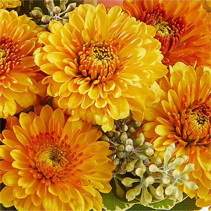 Peachy Pumpkin –  Flower Shop Of Farmingdale, Farmingdale NY