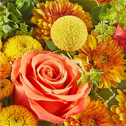 Gourdgeous Pumpkin –  Flower Shop Of Farmingdale, Farmingdale NY