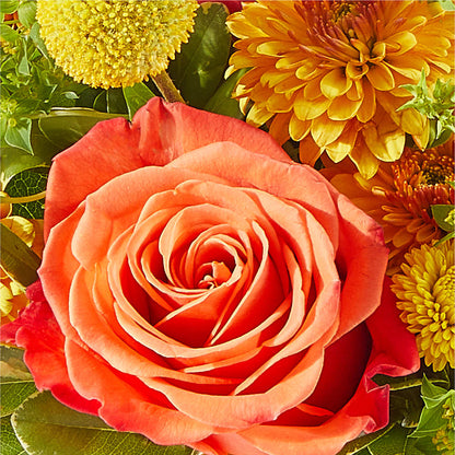 Gourdgeous Pumpkin –  Flower Shop Of Farmingdale, Farmingdale NY