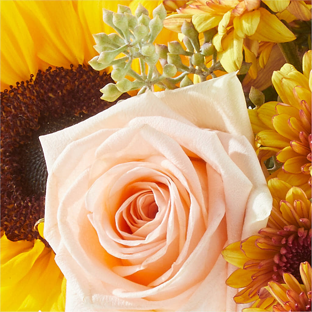 Pumpkin to Talk About Bouquet –  Flower Shop Of Farmingdale, Farmingdale NY