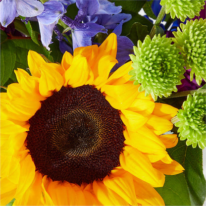 Catching Rays Bouquet –  Flower Shop Of Farmingdale, Farmingdale NY