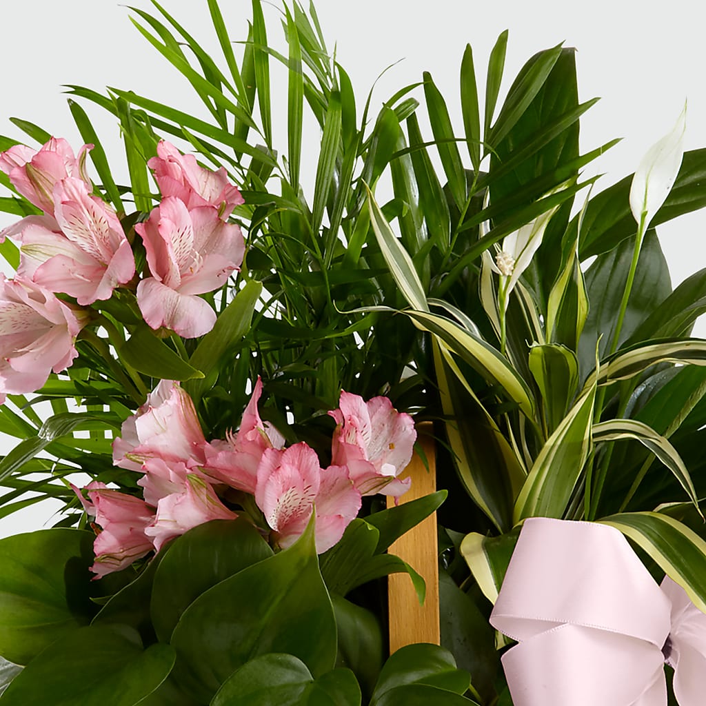 Living Spirit Dishgarden –  Flower Shop Of Farmingdale, Farmingdale NY