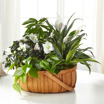 Serene Dishgarden –  Flower Shop Of Farmingdale, Farmingdale NY