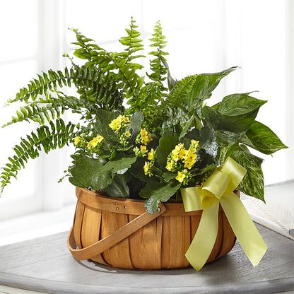 Always Dear Dishgarden –  Flower Shop Of Farmingdale, Farmingdale NY