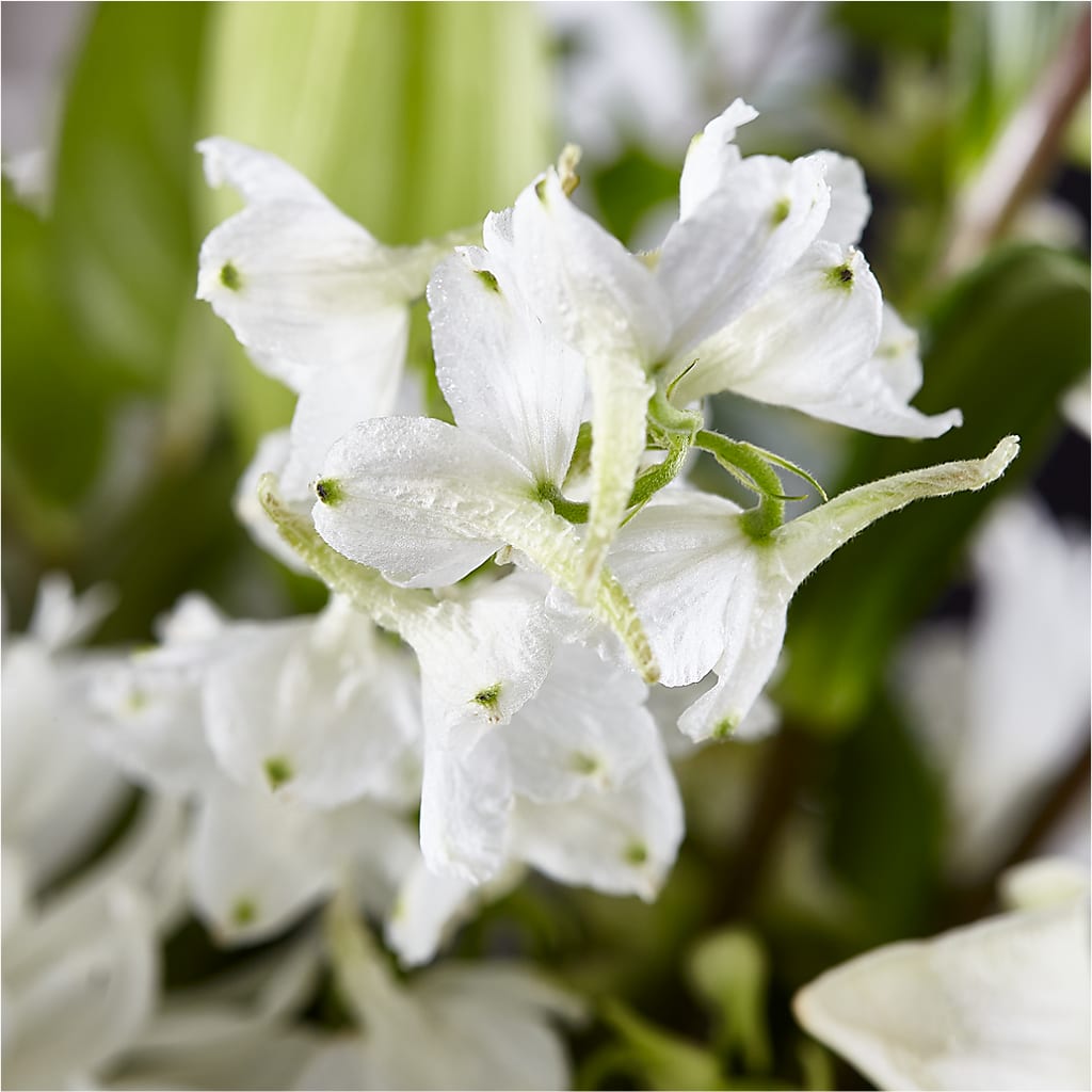 Classic Ivory – A Florist Original –  Flower Shop Of Farmingdale, Farmingdale NY