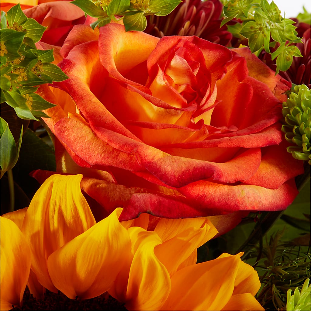 Harvest Festival Bouquet –  Flower Shop Of Farmingdale, Farmingdale NY
