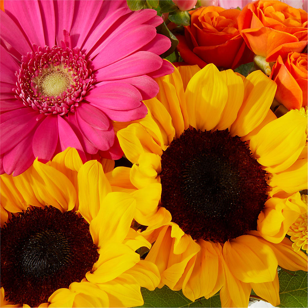 Beach Day Bouquet –  Flower Shop Of Farmingdale, Farmingdale NY