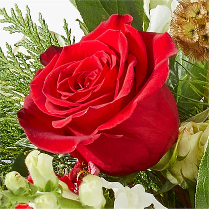 Deck the Halls Bouquet –  Flower Shop Of Farmingdale, Farmingdale NY