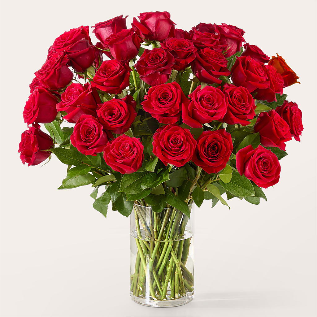 The One Red Rose Bouquet –  Flower Shop Of Farmingdale, Farmingdale NY