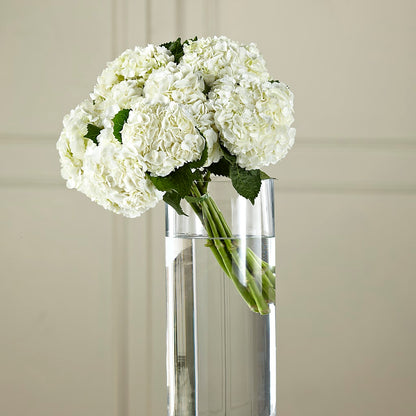 White Hydrangea Hand-Tied Bouquet –  Flower Shop Of Farmingdale, Farmingdale NY