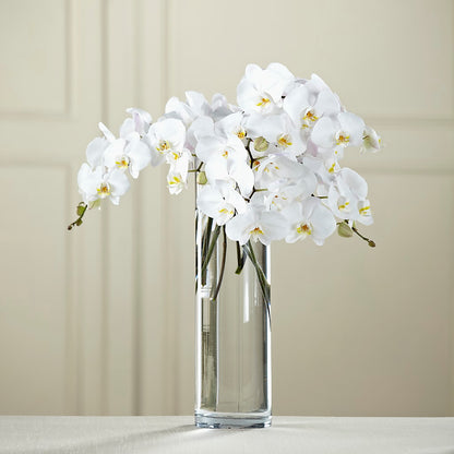 White Phalaenopsis Bouquet –  Flower Shop Of Farmingdale, Farmingdale NY