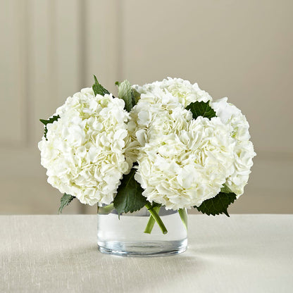White Hydrangea Bouquet –  Flower Shop Of Farmingdale, Farmingdale NY